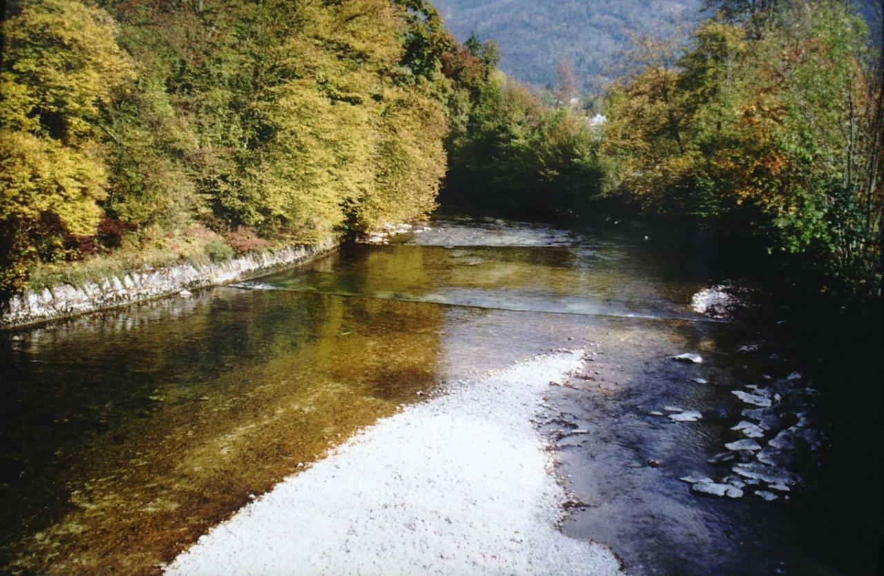 Ferienwohnung Karin Humer Bad Ischl Buitenkant foto